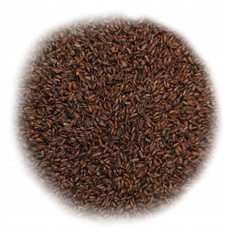 Babka płesznik ziarno 500g LUBSI błonnik witalny naturalny wysoka jakość