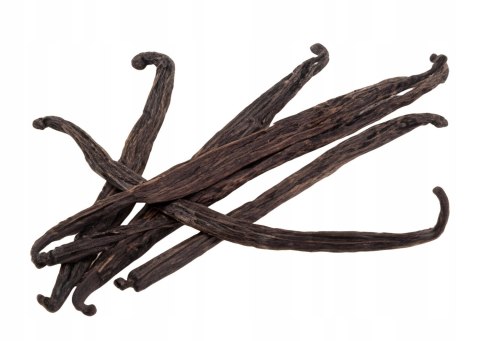 Laski wanilii 18-19cm 20 sztuk LUBSI aromatyczna wanilia laska wanilii